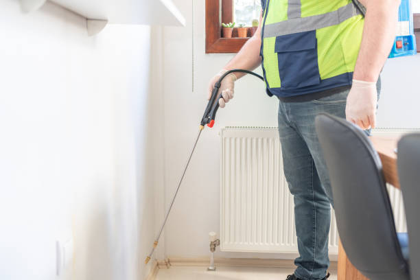 Best Flea Control Services  in Skippers Corner, NC