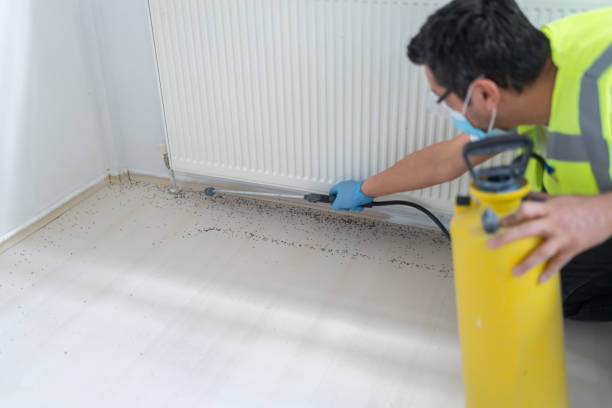 Best Cockroach Control Services  in Skippers Corner, NC