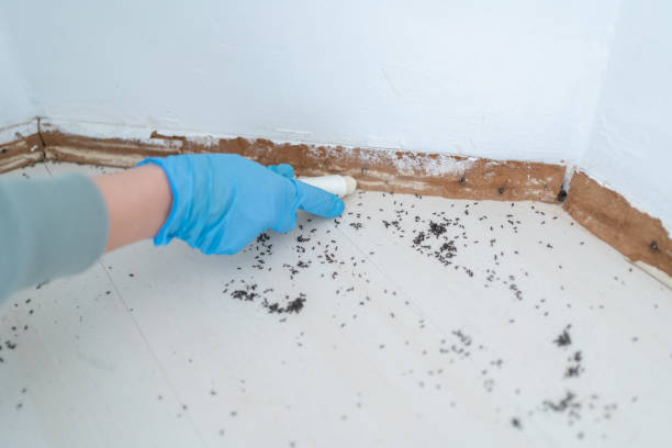 Best Pest Removal Services  in Skippers Corner, NC